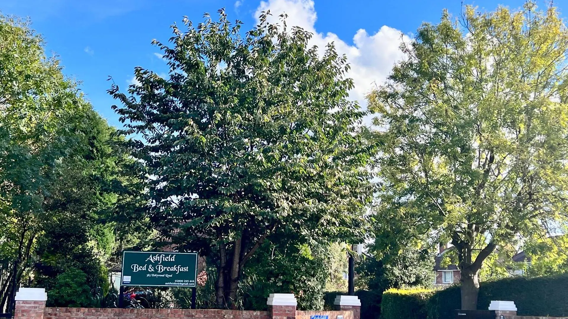 Ashfield Bed & Breakfast Belfast