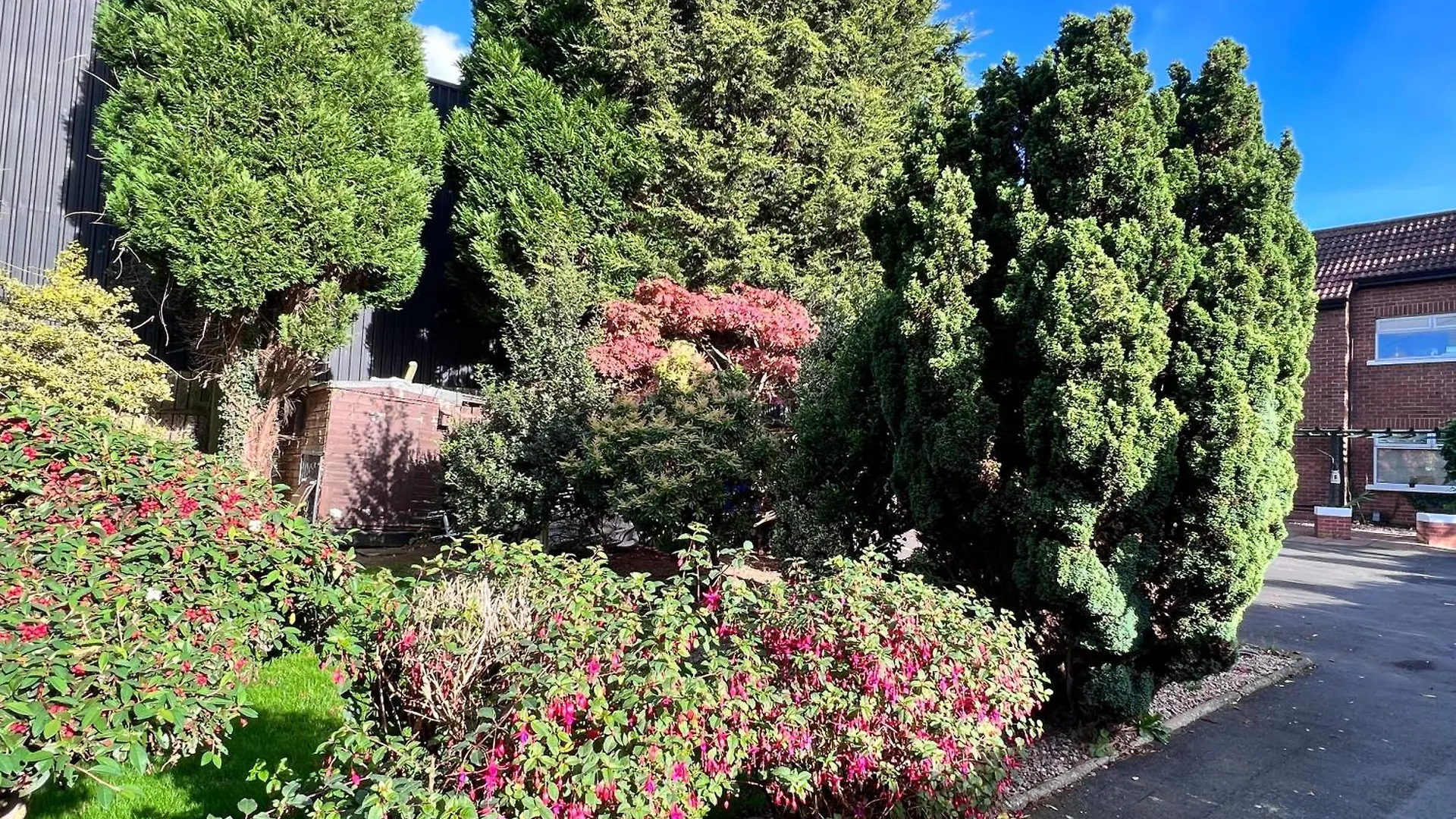 Ashfield Bed & Breakfast Belfast 3*,  United Kingdom