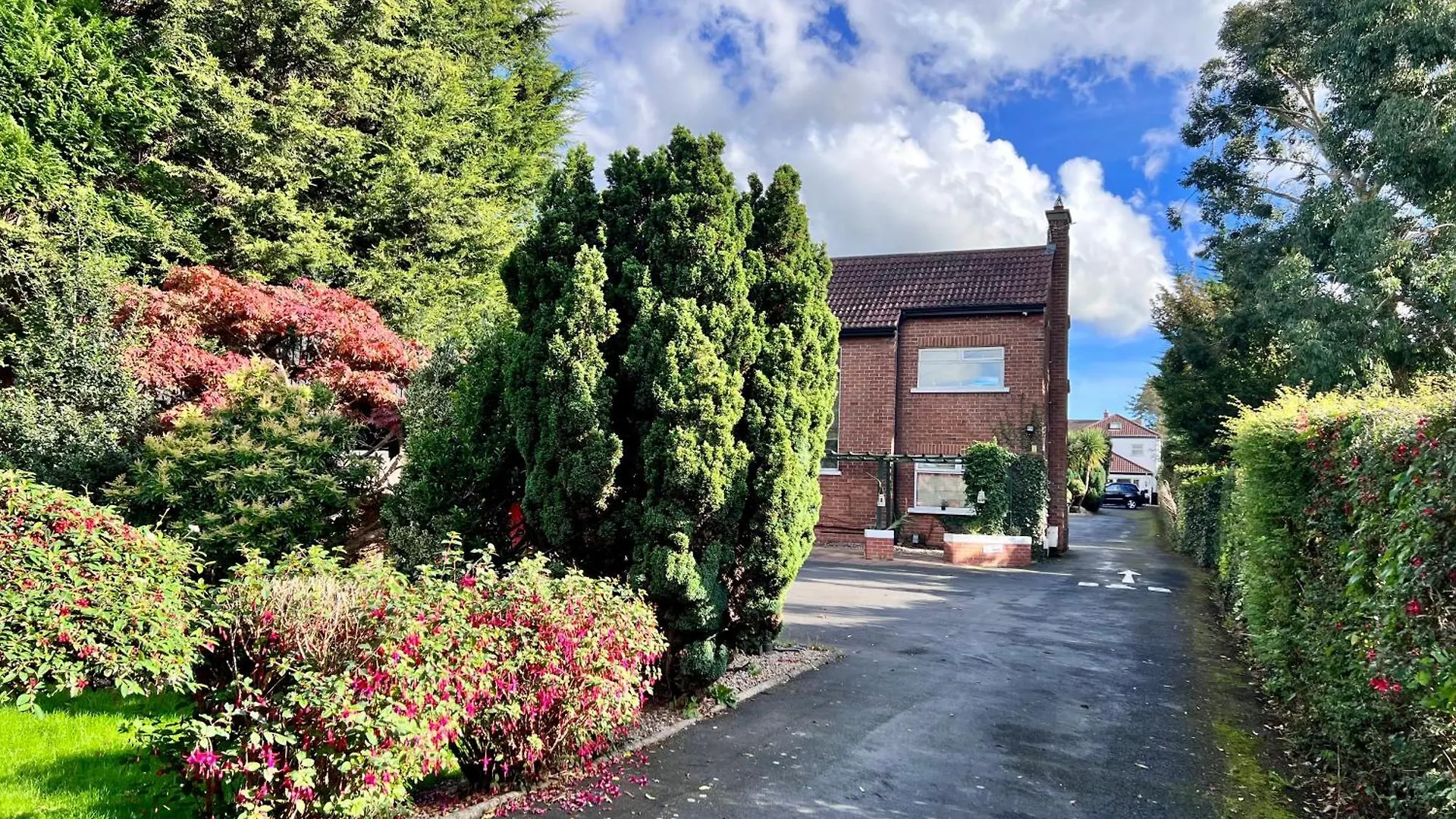 Ashfield Bed & Breakfast Belfast