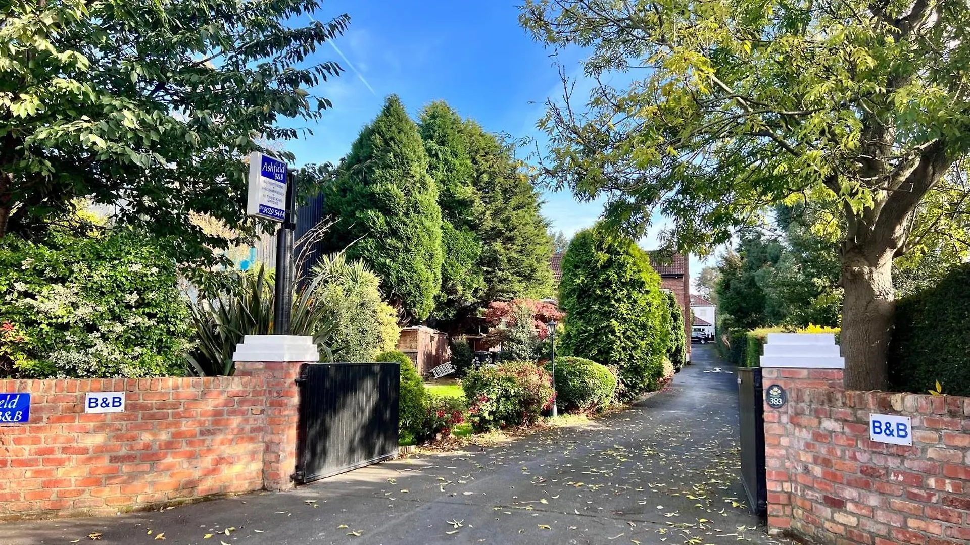 Ashfield Bed & Breakfast Belfast
