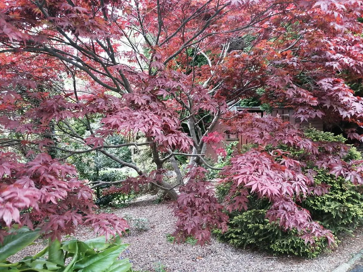 Ashfield Bed & Breakfast Belfast